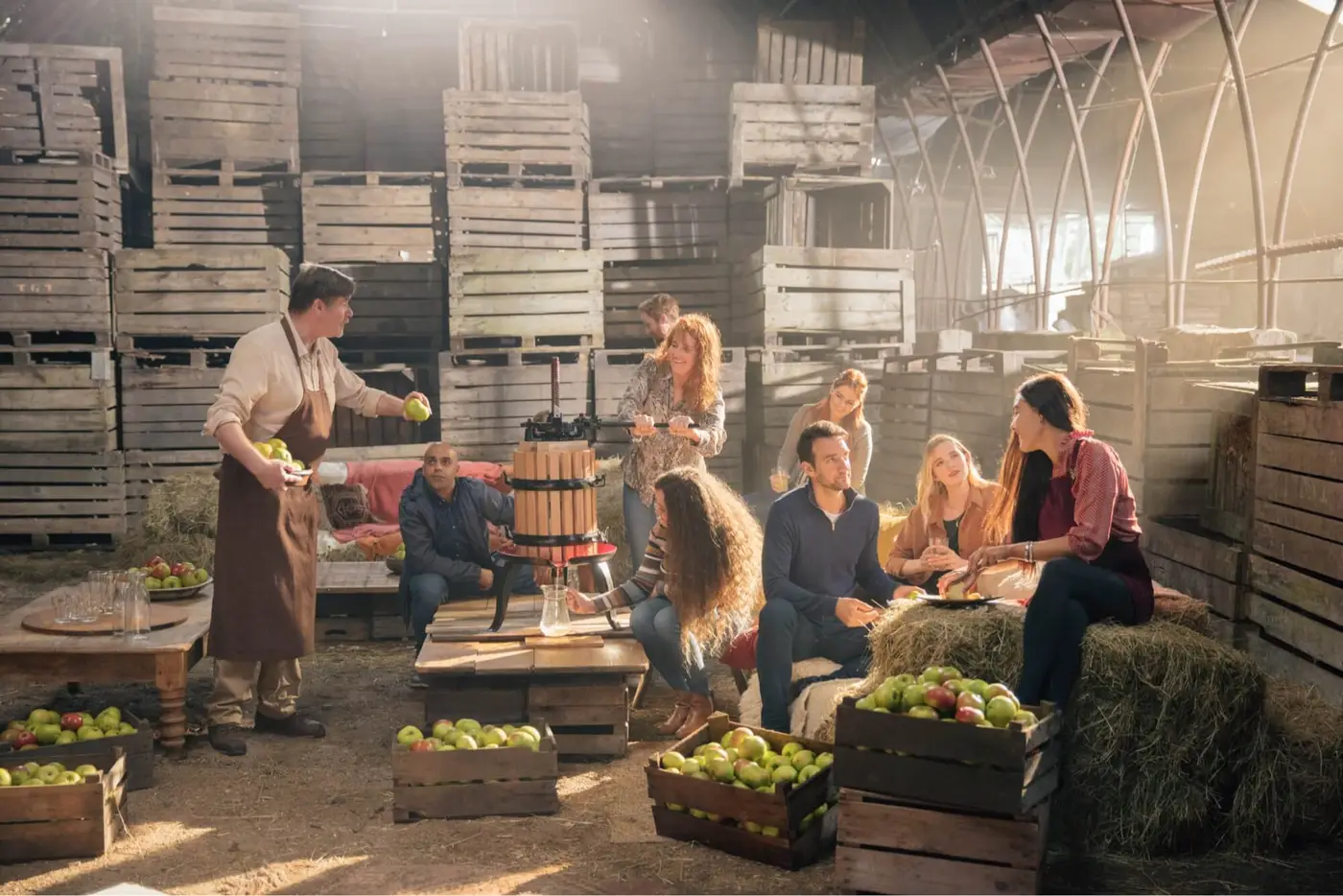 Producing Cider in Northern Ireland