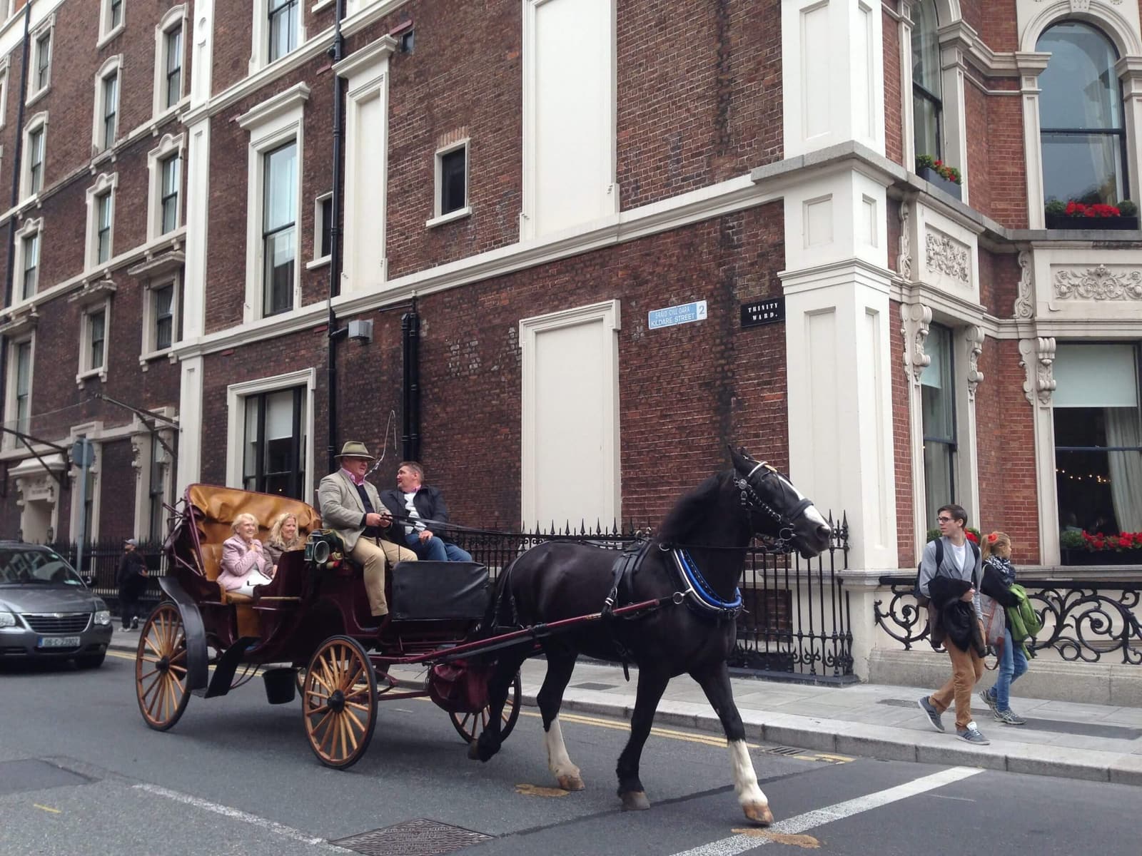 Riding Horse & Carriage