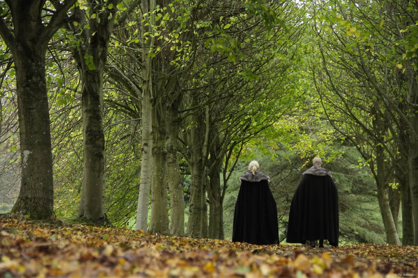 Couple Walking in Woods